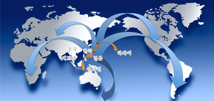 한국,일본을 중심으로 국제무역사업을 추진