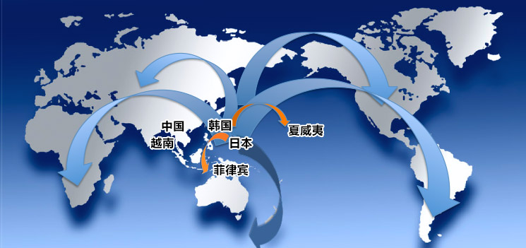 推广以韩国，日本为中心的国际贸易业务
