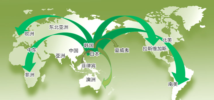 通过观光网路连结韩国、日本与世界194个国家